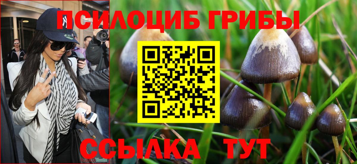 Псилоцибиновые грибы мицелий  Вход с VPN  Дедовск 